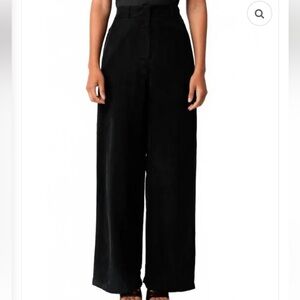 Olivaceous Women's Black Cupro Wide-Leg Pants NWT Large Boutique Brand